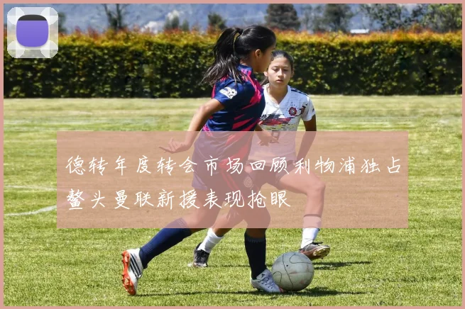 德转年度转会市场回顾利物浦独占鳌头曼联新援表现抢眼