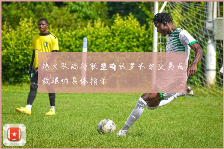 热火队尚待联盟确认罗齐尔交易或裁退的具体指示