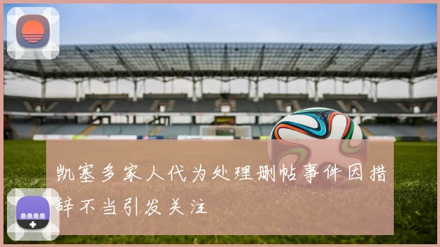 凯塞多家人代为处理删帖事件因措辞不当引发关注