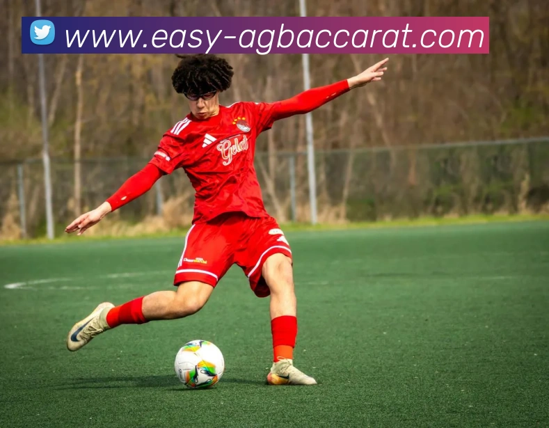 AG百家乐APP 体育赛事宣传图